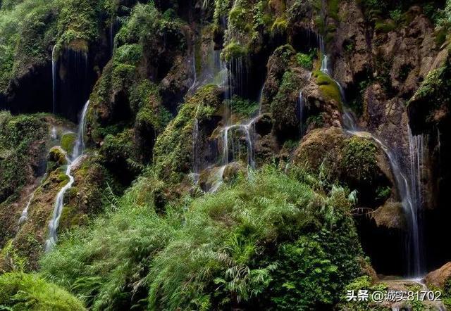《幻兽帕鲁》翠叶鼠雕像升到满级所需数量介绍